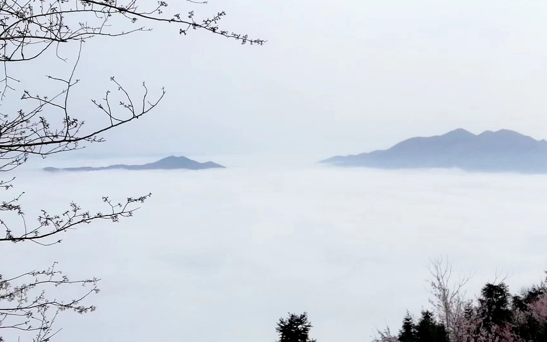 JDB电子·(中国区)试玩平台-JDB电子游戏官网